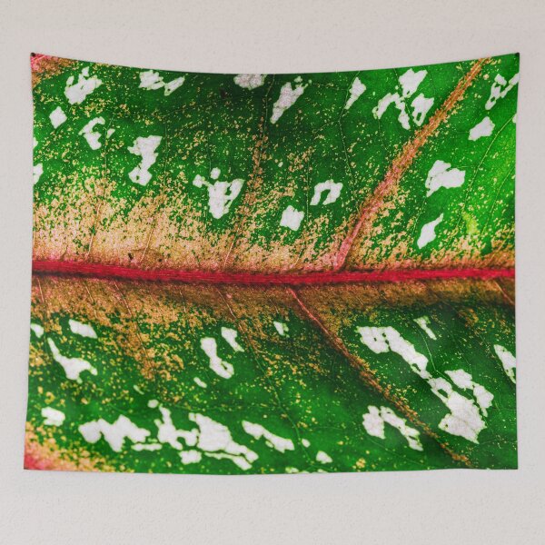 Item preview, Caladium bicolor, houseplant designed and sold by Nicole Bleck.