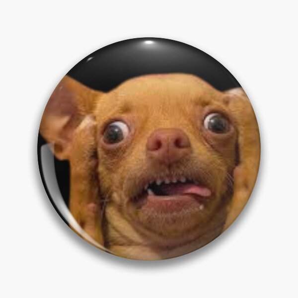Item preview, Surprised Chihuahua Face Meme Funny Dog Art Design for Animal Lovers designed and sold by MakersFolly.