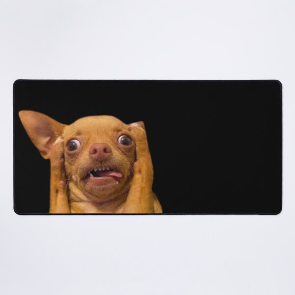 Item preview, Surprised Chihuahua Face Meme Funny Dog Art Design for Animal Lovers designed and sold by MakersFolly.