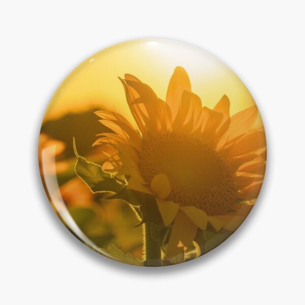 Item preview, Golden Hour Sunflowers designed and sold by Shambhavi_Studio.