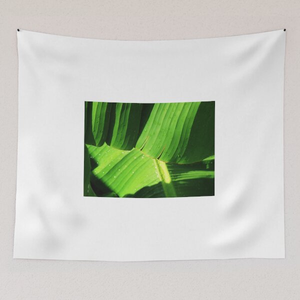 Item preview, The morning dew designed and sold by ART22.