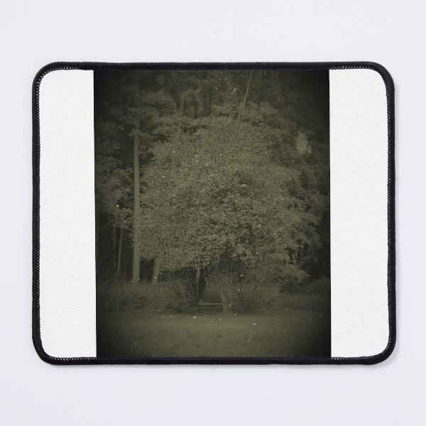 Item preview, tree  photography designed and sold by Kasia1987t.
