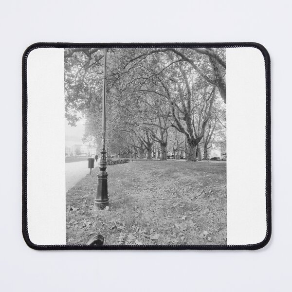 Item preview, park Photo black and white designed and sold by Kasia1987t.