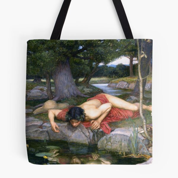 Item preview, Echo and Narcissus (1903) - John William Waterhouse designed and sold by SALON DES ARTS.