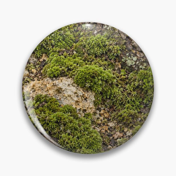 Item preview, Forest Moss and Bark Texture – Natural Woodland Pattern designed and sold by Bodique.