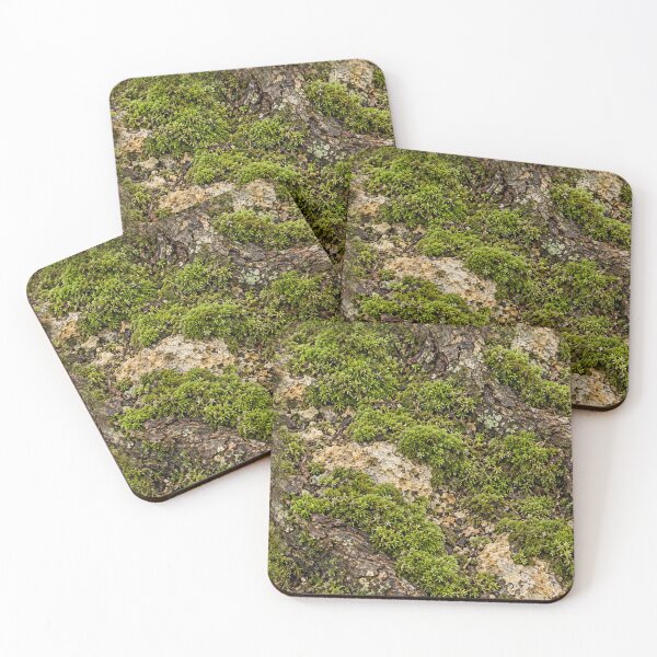 Item preview, Forest Moss and Bark Texture – Natural Woodland Pattern designed and sold by Bodique.