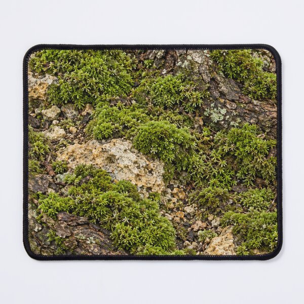 Item preview, Forest Moss and Bark Texture – Natural Woodland Pattern designed and sold by Bodique.