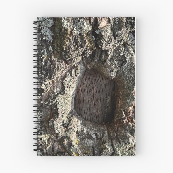 Item preview, texture, bark, tree, wood, brown, abstract, pattern, old, rock, rough, natural, nature, surface, stone, textured, trunk, forest, material, wooden designed and sold by MartaElezart.