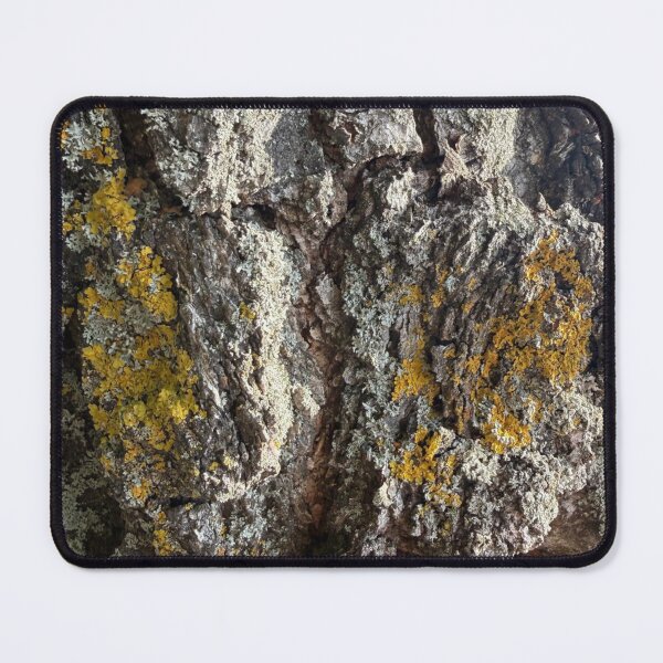 Item preview, texture, bark, tree, wood, brown, abstract, pattern, old, rock, rough, natural, nature, surface, stone, textured, trunk, forest, material, wooden designed and sold by MartaElezart.