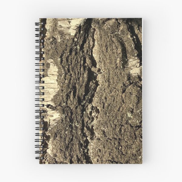 Item preview, texture, bark, tree, wood, brown, abstract, pattern, old, rock, rough, natural, nature, surface, stone, textured, trunk, forest, material, wooden designed and sold by MartaElezart.