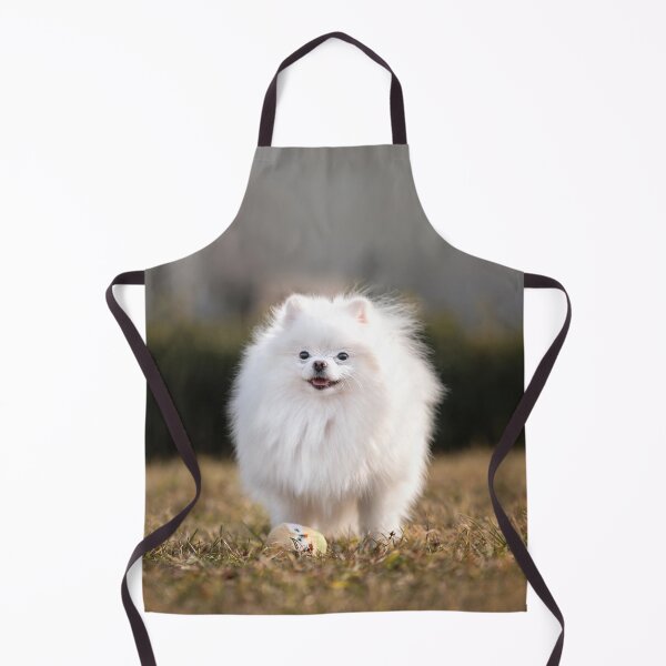 Item preview, Adorable White Pomeranian Dog Outdoor Portrait designed and sold by VanGaldo.