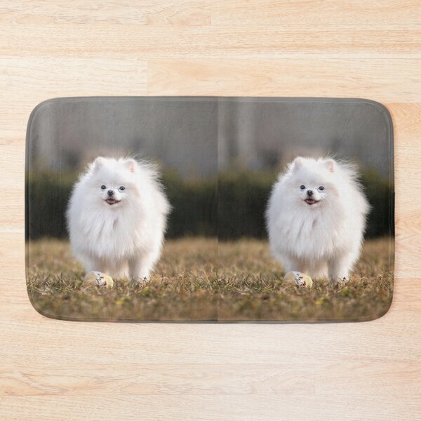 Item preview, Adorable White Pomeranian Dog Outdoor Portrait designed and sold by VanGaldo.