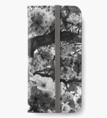 Cherry Blossoms iPhone Wallet/Case/Skin