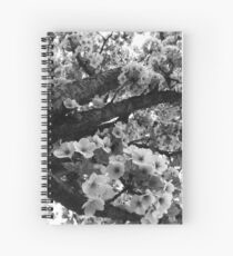 Cherry Blossoms Spiral Notebook