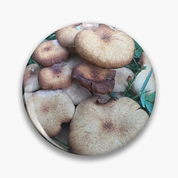 Item preview, Ringless Honey Mushrooms designed and sold by Oxymoronic Madness.