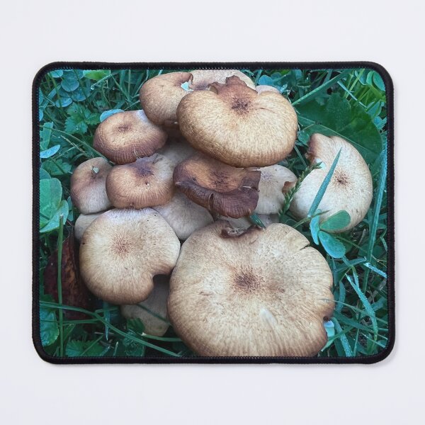 Item preview, Ringless Honey Mushrooms designed and sold by Oxymoronic Madness.