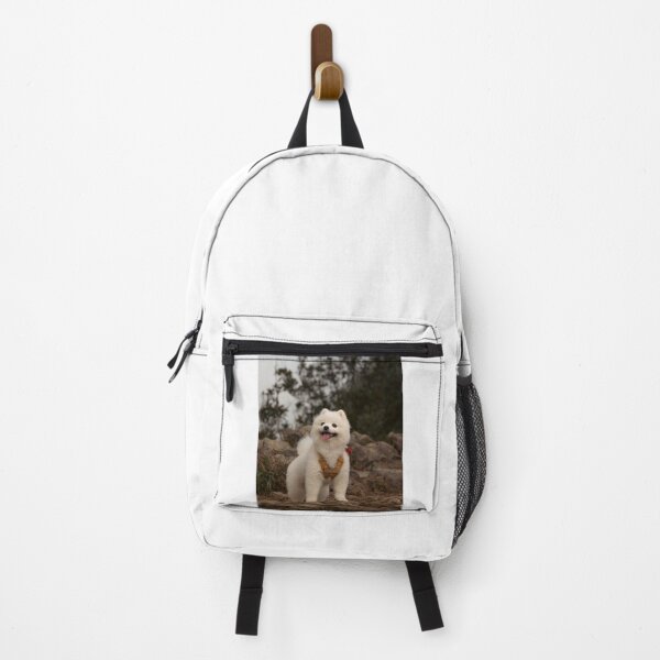 Item preview, Fluffy White Pomeranian Dog On Rocks designed and sold by VanGaldo.