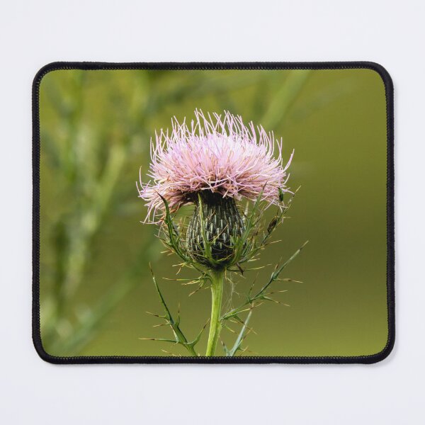 Item preview, Light purple bull thistle flower designed and sold by KRFNatureGifts.
