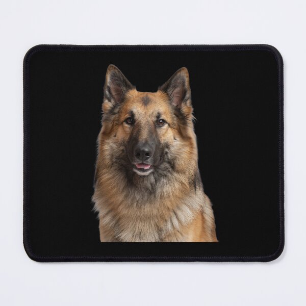 Item preview, Dog Pet Owner Art Design Belgian Tervuren Full Face Portrait designed and sold by fantasticdesign.