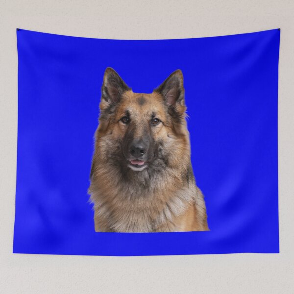 Item preview, Dog Pet Owner Art Design Belgian Tervuren Full Face Portrait designed and sold by fantasticdesign.