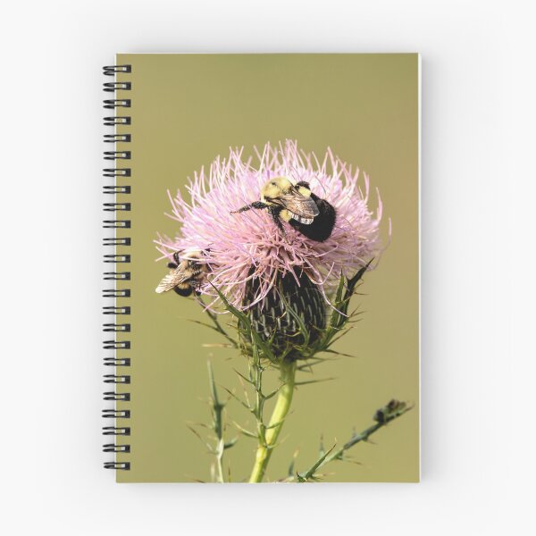 Item preview, Bumblebees on bull thistle flower designed and sold by KRFNatureGifts.