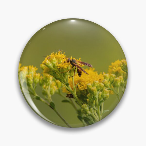 Item preview, Paper wasp on goldendrod flowers designed and sold by KRFNatureGifts.