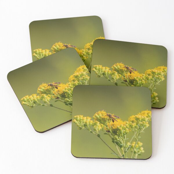 Item preview, Paper wasp on goldendrod flowers designed and sold by KRFNatureGifts.