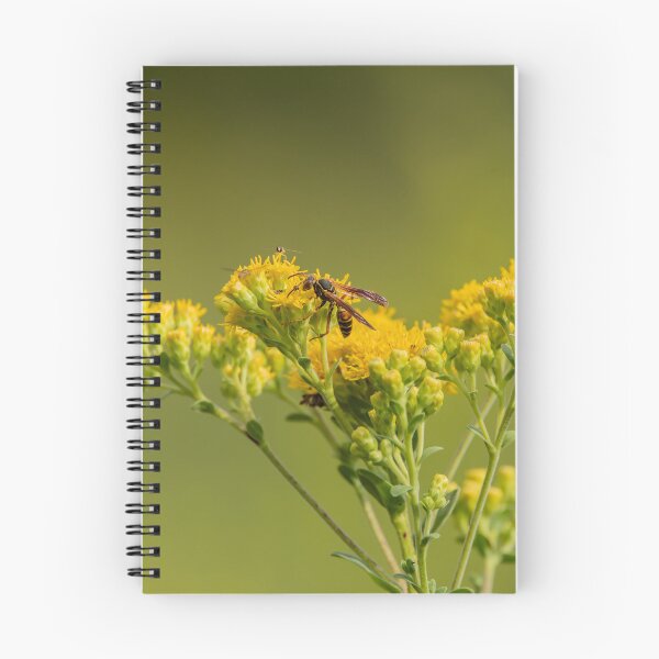 Item preview, Paper wasp on goldendrod flowers designed and sold by KRFNatureGifts.