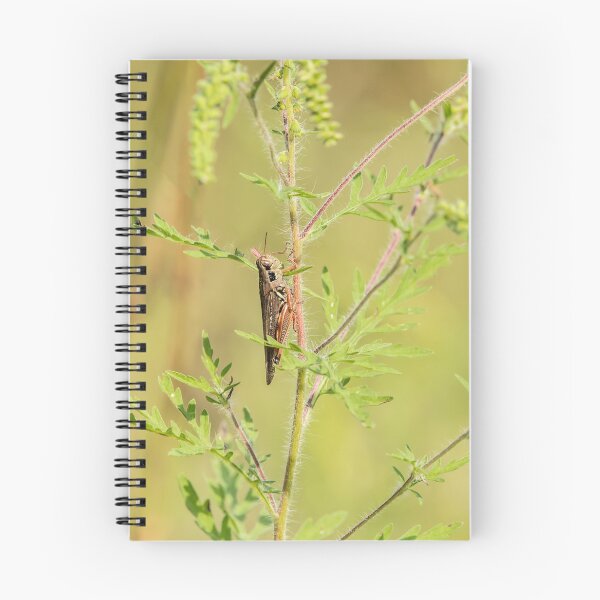 Item preview, Grasshopper on ragweed plant designed and sold by KRFNatureGifts.