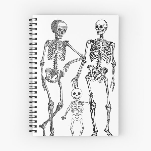 Item preview, Skeleton Family Vintage Anatomy Illustration designed and sold by GoldenSparkleShop.
