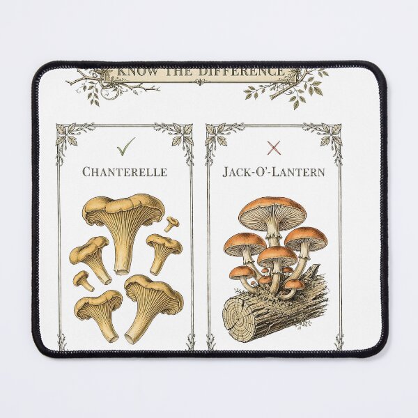 Item preview, Know the Difference — Chanterelle vs Jack-o'-Lantern ID Chart designed and sold by thestevebro.