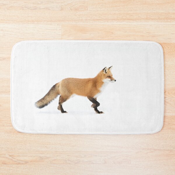 Item preview, Red Fox on Alert - Algonquin Park designed and sold by James Cumming.