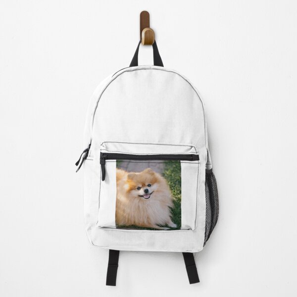 Item preview, Happy Fluffy Pomeranian Lying In Grass designed and sold by VanGaldo.
