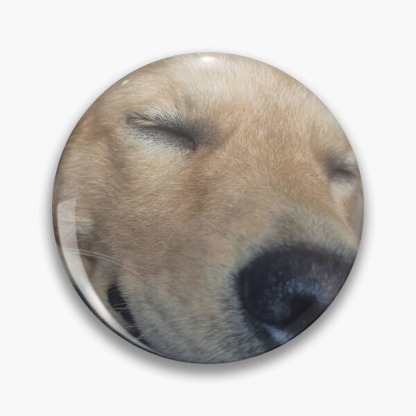 Item preview, Peaceful Sleeping Golden Retriever Close Up designed and sold by VelvetAsiaArt.