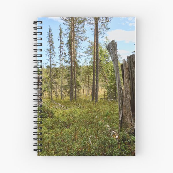 Item preview, Hiidenlammet 2026 designed and sold by Jouko Lehto Photography.