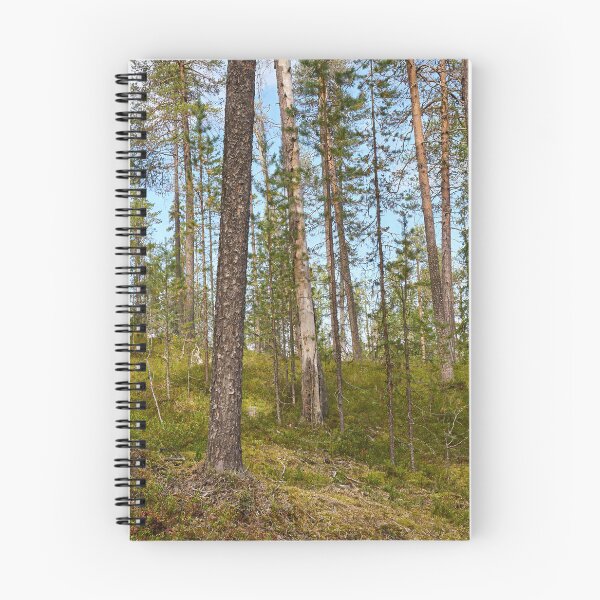 Item preview, Northern forest at Oulanka designed and sold by Jouko Lehto Photography.