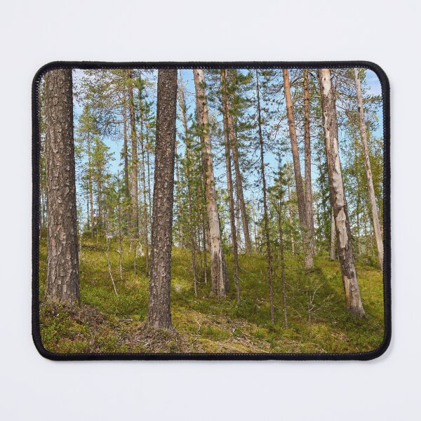 Item preview, Northern forest at Oulanka designed and sold by Jouko Lehto Photography.