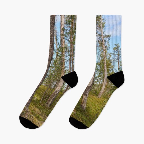 Item preview, Northern forest at Oulanka designed and sold by Jouko Lehto Photography.