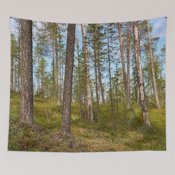 Item preview, Northern forest at Oulanka designed and sold by Jouko Lehto Photography.