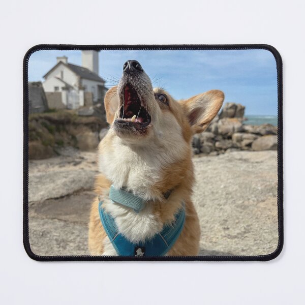 Item preview, Corgi at the beach designed and sold by willy92.