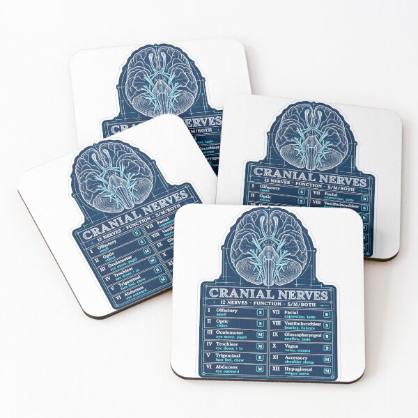 Item preview, Cranial Nerves Blueprint Study Aid Nursing Student Sticker designed and sold by isokinetic.