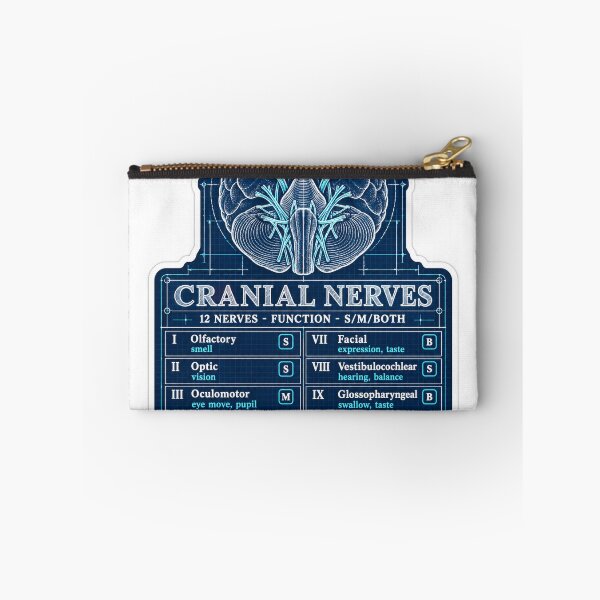 Item preview, Cranial Nerves Blueprint Study Aid Nursing Student Sticker designed and sold by isokinetic.