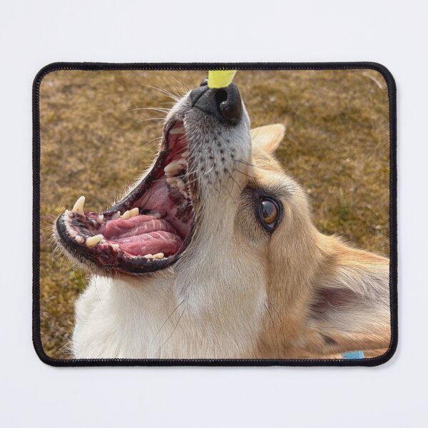 Item preview, A hungry corgi designed and sold by willy92.