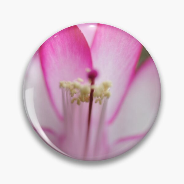 Item preview, Flowers Christmas cactus designed and sold by CEGuinn.