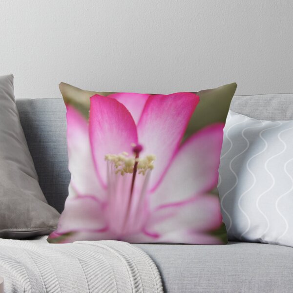 Item preview, Flowers Christmas cactus designed and sold by CEGuinn.