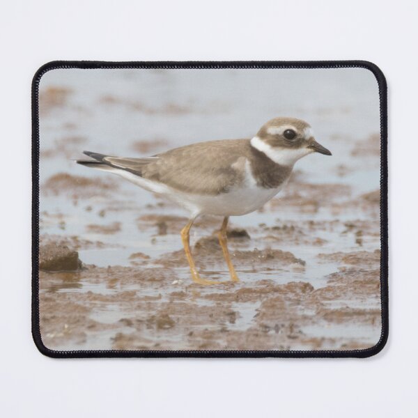 Item preview, Common Ringed Plover designed and sold by LaurenTucker.