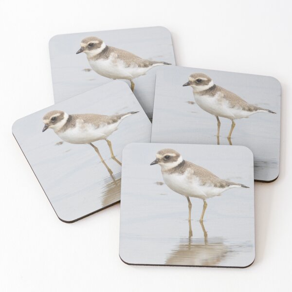 Item preview, Common Ringed Plover designed and sold by LaurenTucker.