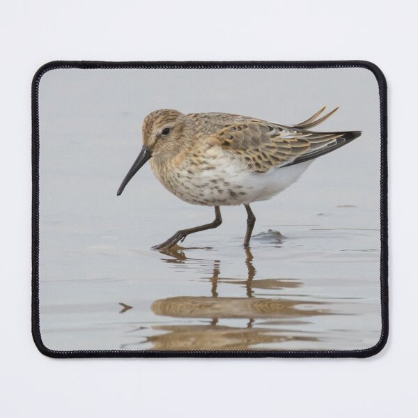 Item preview, Dunlin designed and sold by LaurenTucker.