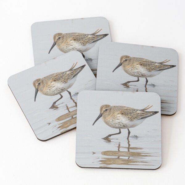 Item preview, Dunlin designed and sold by LaurenTucker.