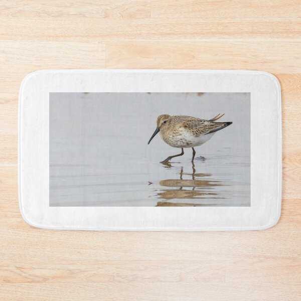 Item preview, Dunlin designed and sold by LaurenTucker.